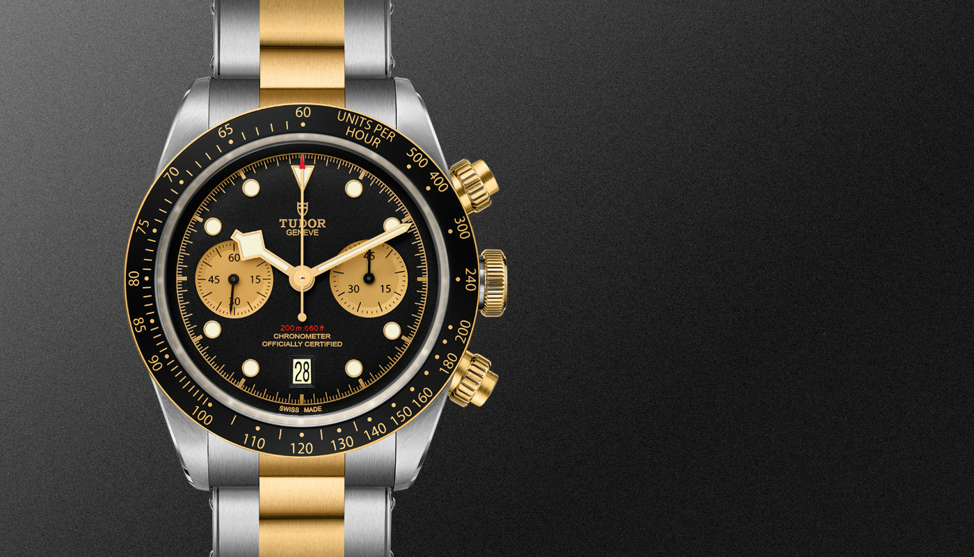 Tudor-banner 4