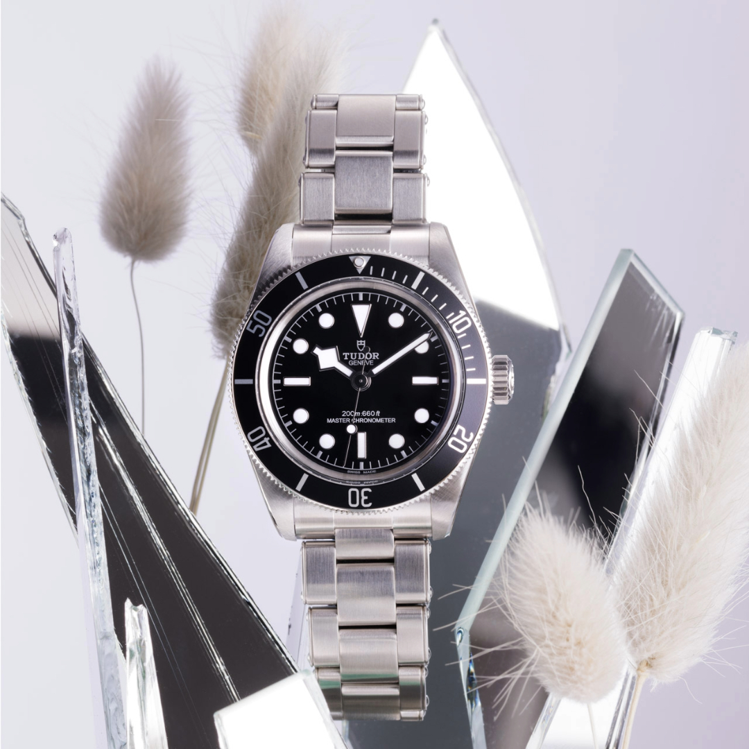 Tudor HM2024
