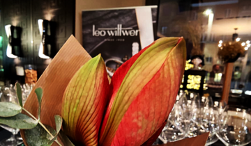 WO DIAMANTEN GESCHICHTEN ERZÄHLEN