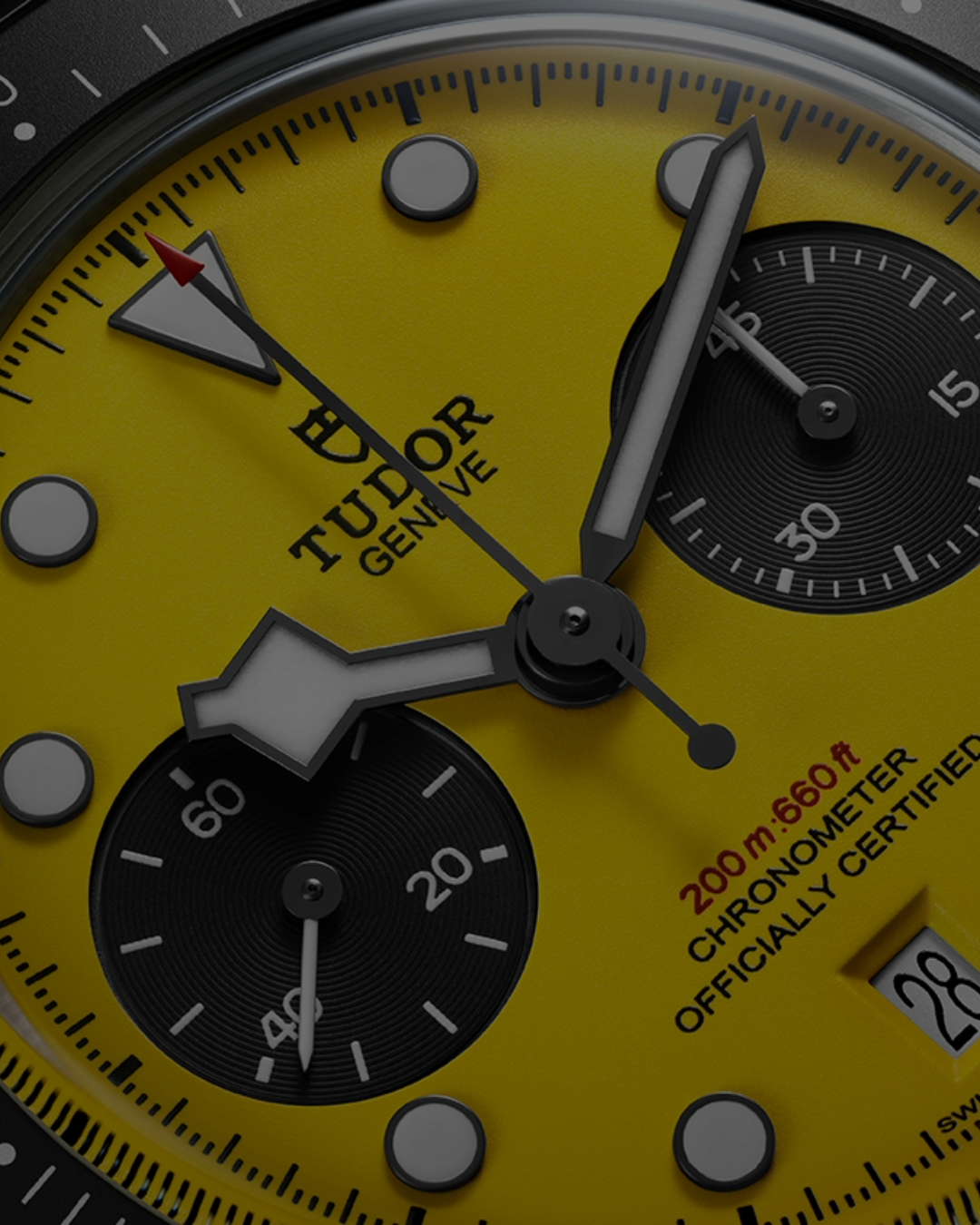 Tudor Black Bay Chrono Tudor Black Bay Chrono Bumblebee
